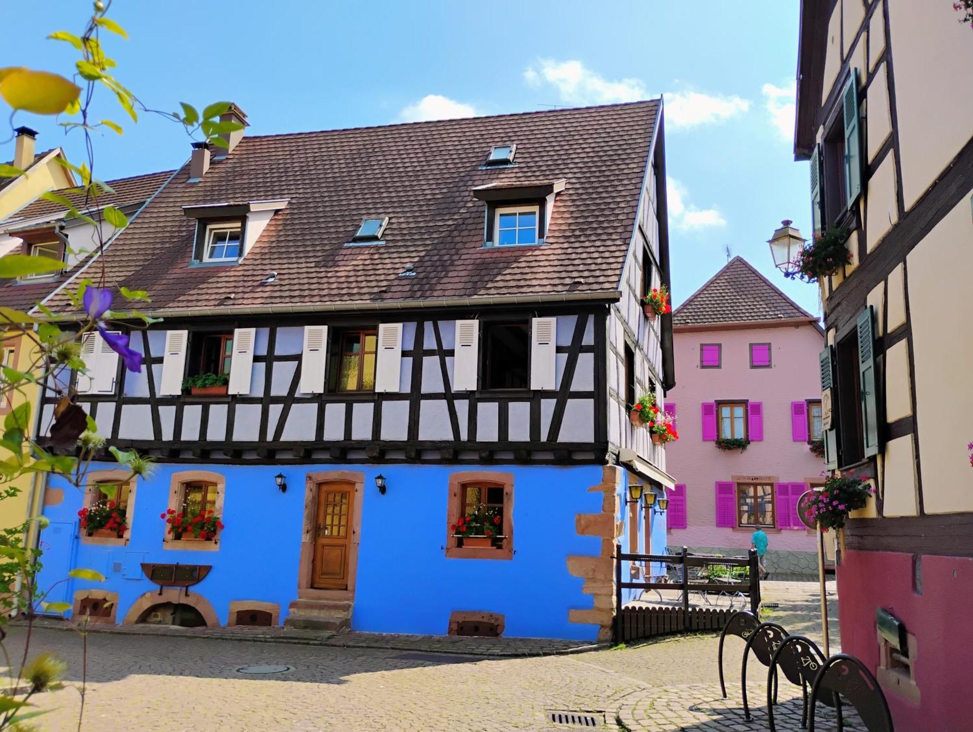 Gite Le Marronnier - Au Calme - Parking & Terrasse - Pres De Colmar Et Riquewihr - Route Des Vins Châtenois Exterior photo