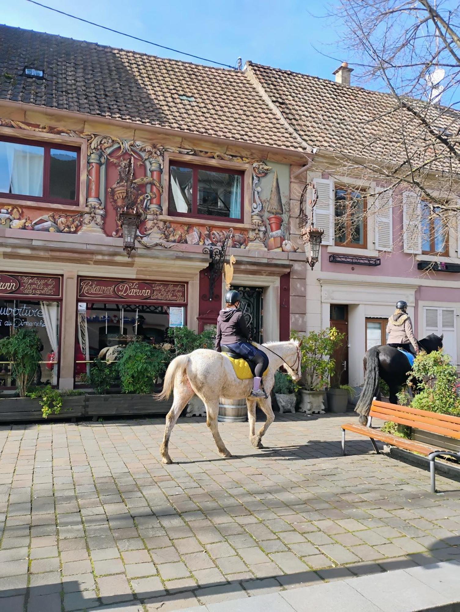 Gite Le Marronnier - Au Calme - Parking & Terrasse - Pres De Colmar Et Riquewihr - Route Des Vins Châtenois Exterior photo