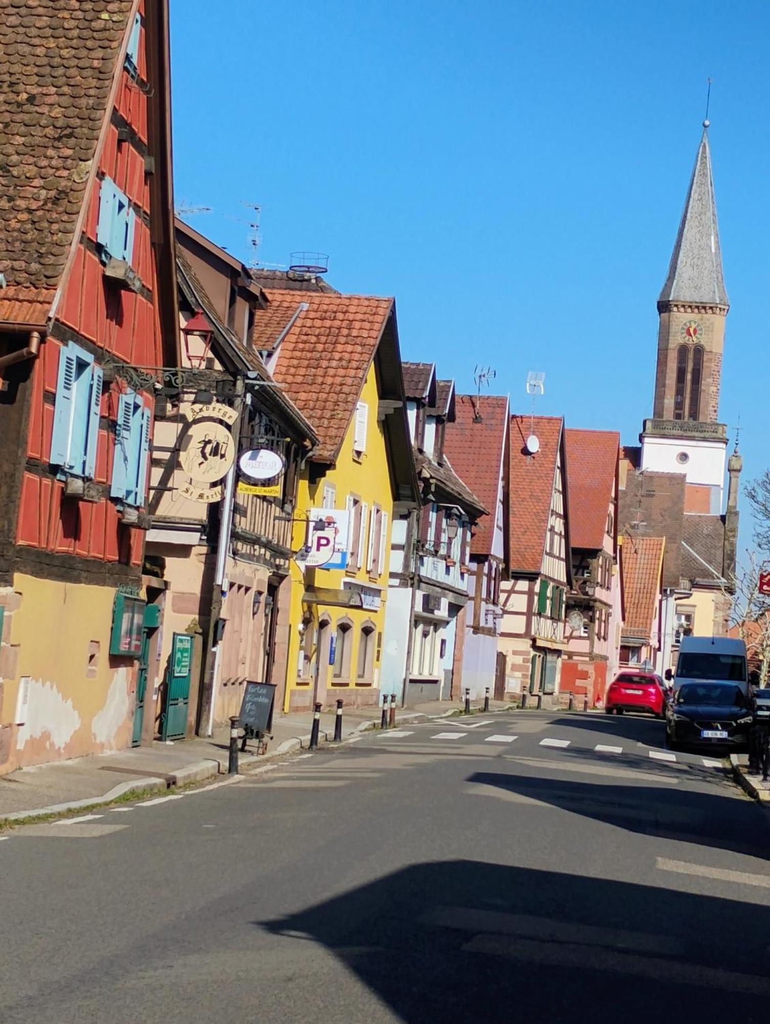 Gite Le Marronnier - Au Calme - Parking & Terrasse - Pres De Colmar Et Riquewihr - Route Des Vins Châtenois Exterior photo