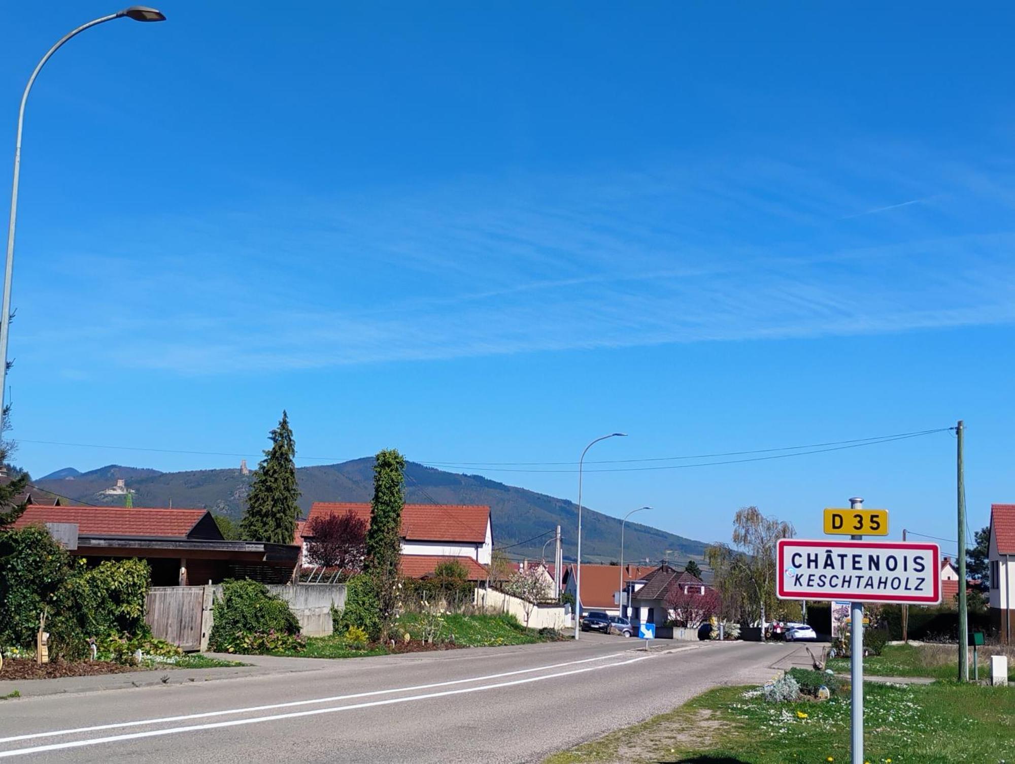 Gite Le Marronnier - Au Calme - Parking & Terrasse - Pres De Colmar Et Riquewihr - Route Des Vins Châtenois Exterior photo