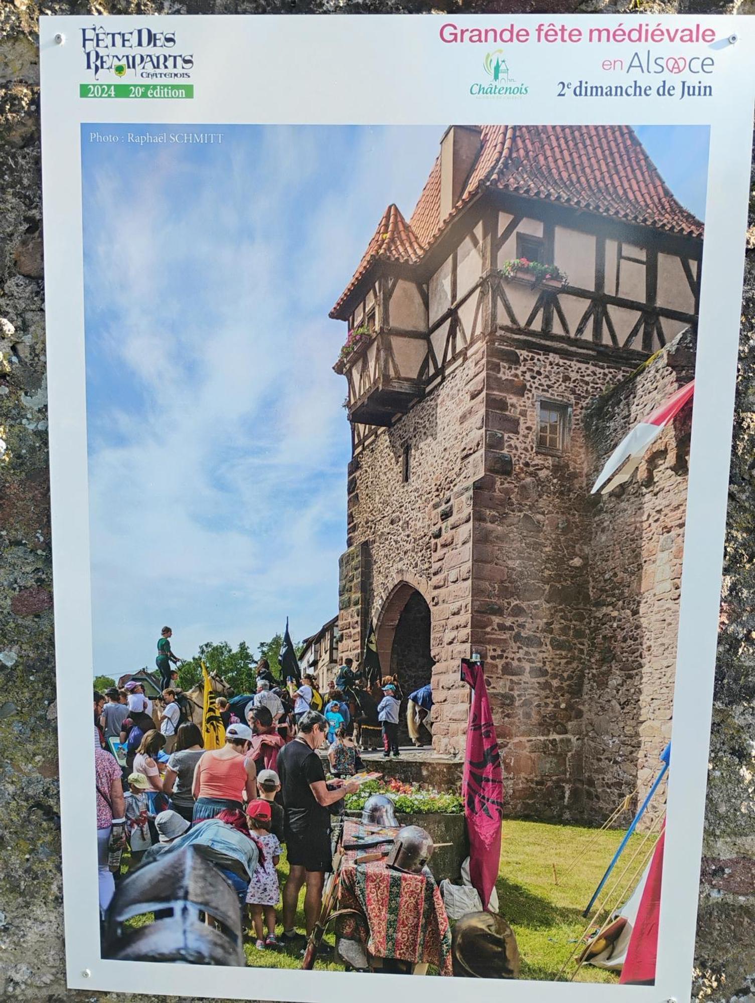 Gite Le Marronnier - Au Calme - Parking & Terrasse - Pres De Colmar Et Riquewihr - Route Des Vins Châtenois Exterior photo